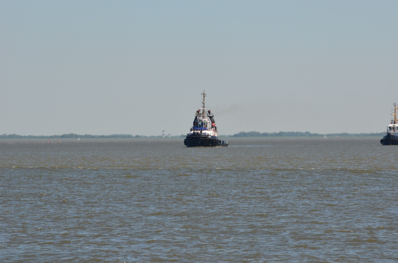 DSC_0984.jpg