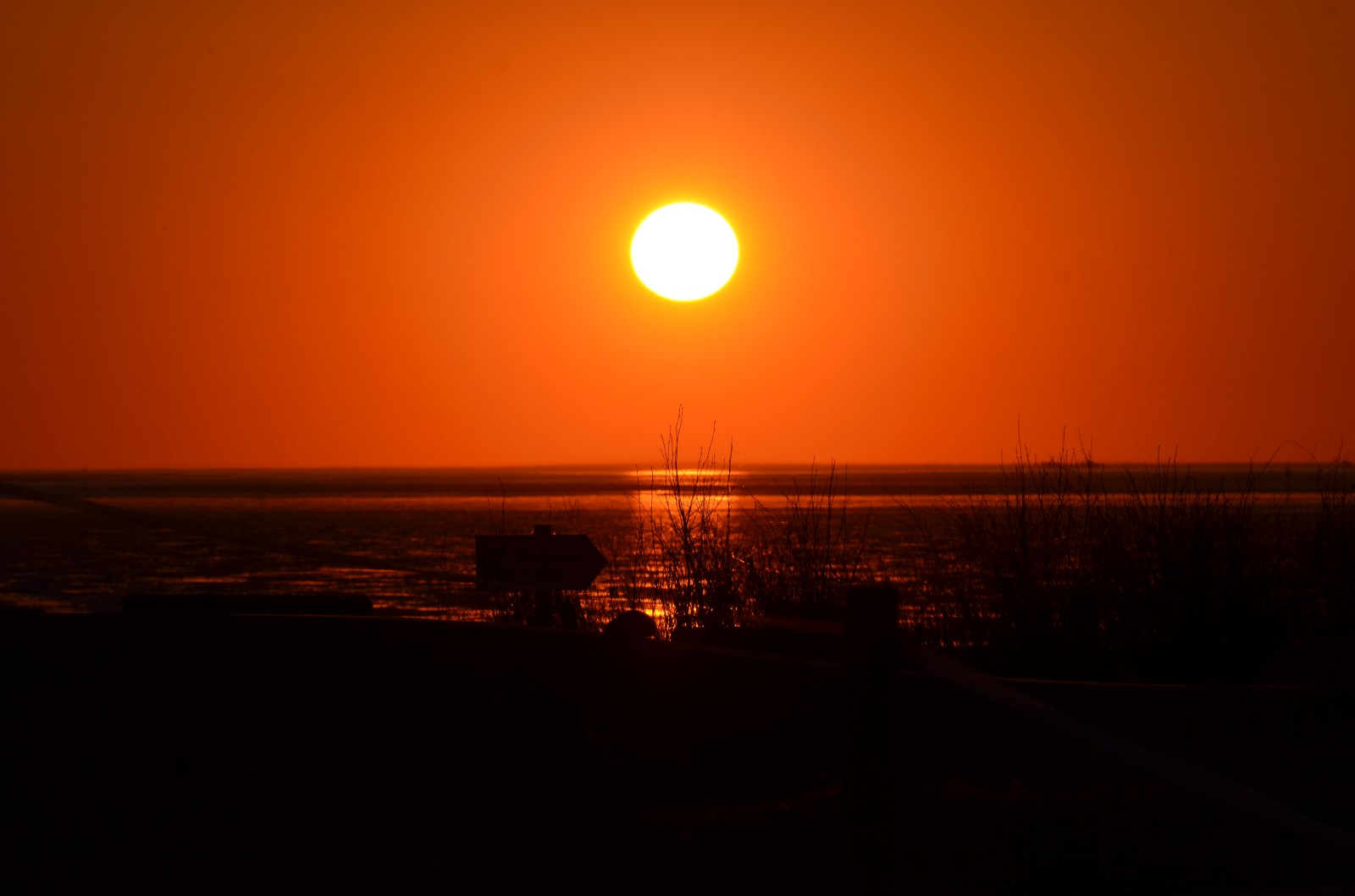 DSC_1024.jpg