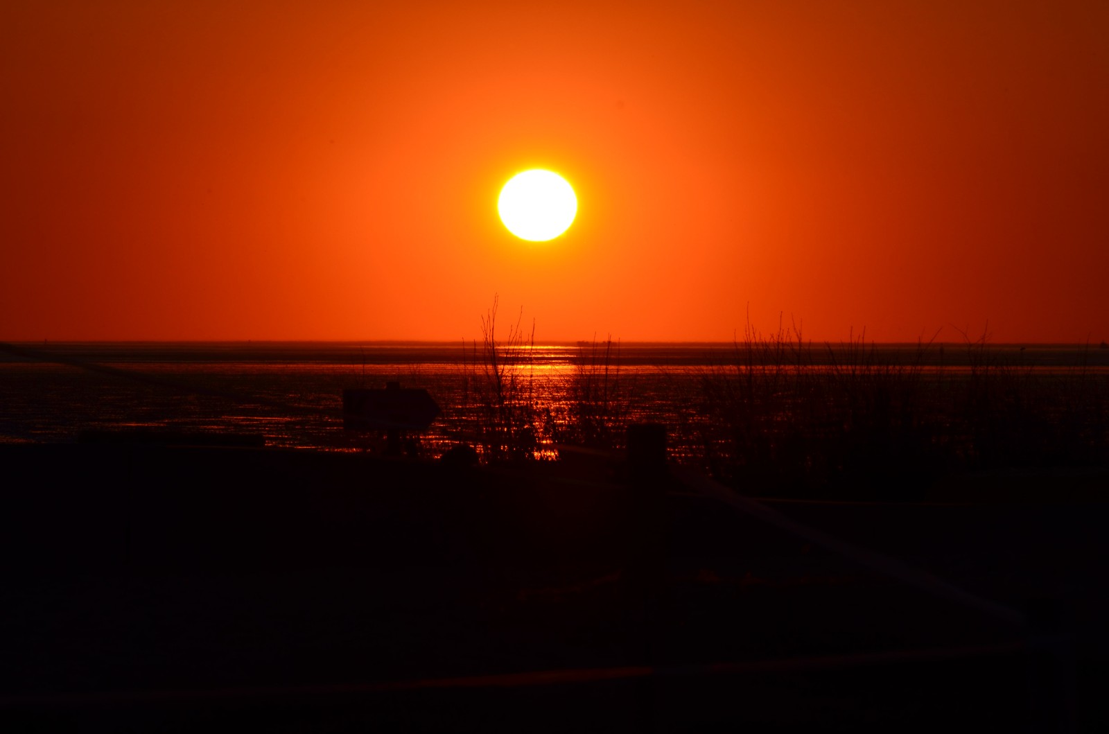 DSC_1029.jpg