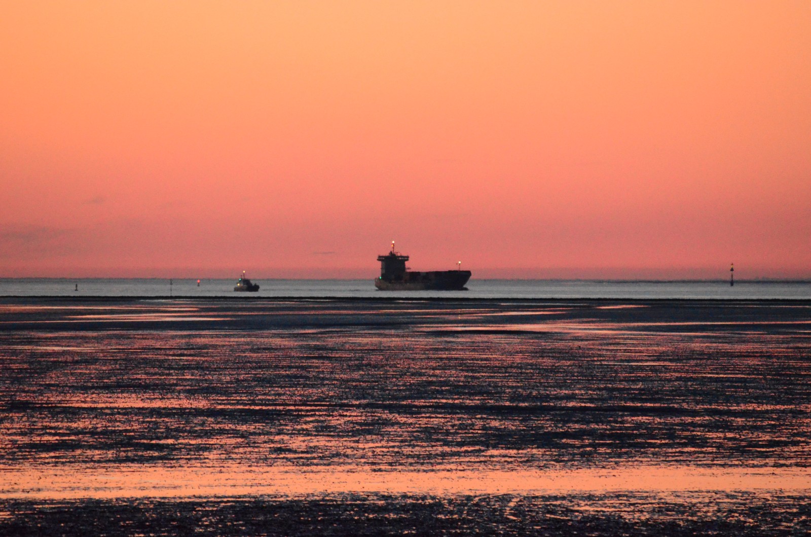 DSC_1039.jpg