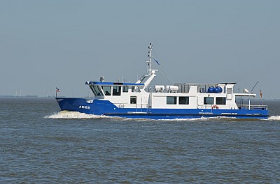 DSC_0951.jpg