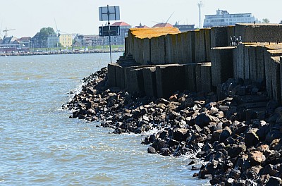 DSC_0959.jpg