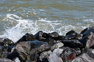 DSC_0964.jpg