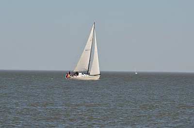 DSC_0980.jpg