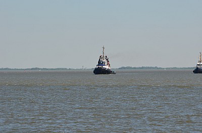 DSC_0984.jpg