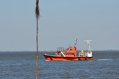 DSC_0989.jpg