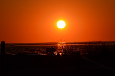 DSC_1021.jpg