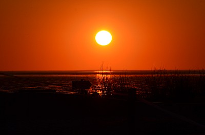 DSC_1024.jpg