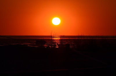 DSC_1029.jpg
