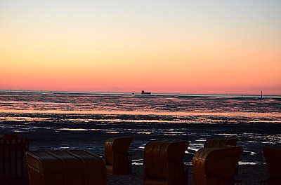 DSC_1037.jpg