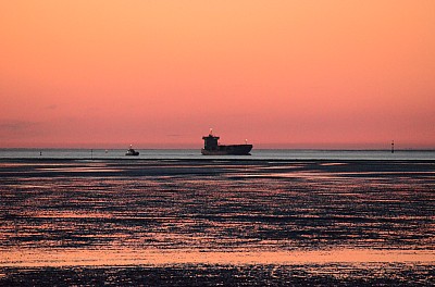 DSC_1039.jpg